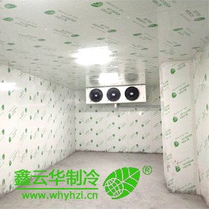 襄陽醫(yī)療冷庫